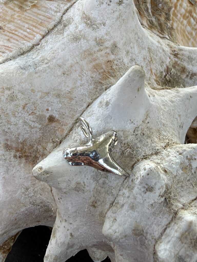 Handgemaakte haaientand hanger op een schelp, detailfoto