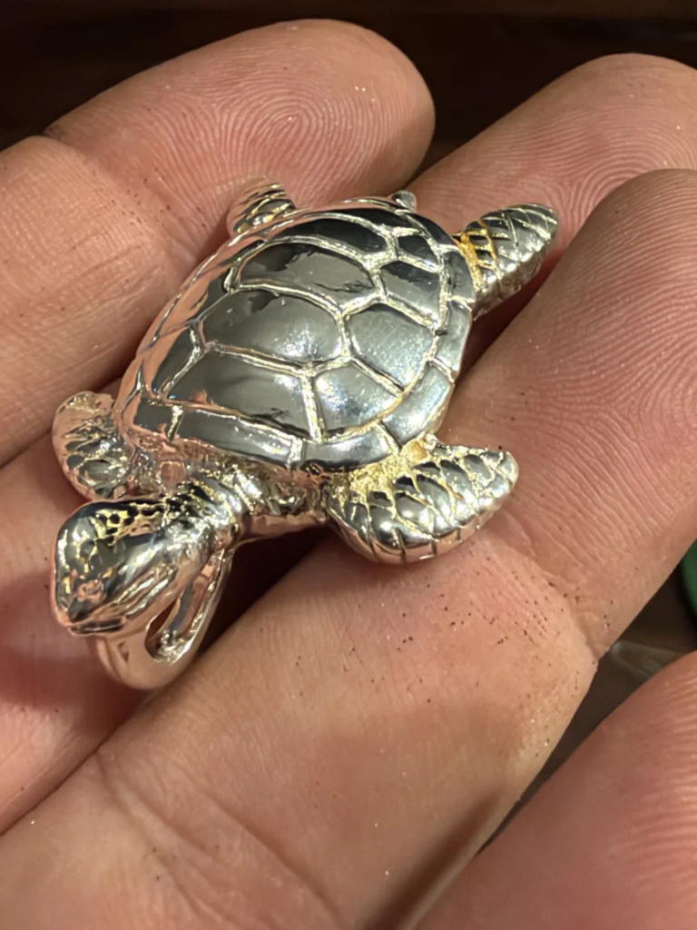 Turtle pendant detail — original photograph